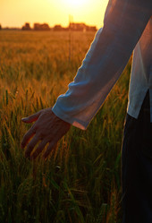 Similar image 1389645