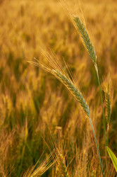 Similar image 1389646