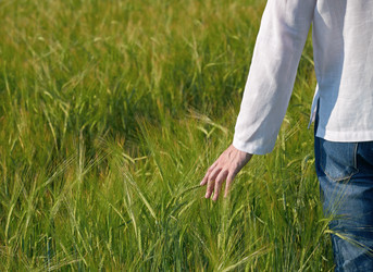 Similar image 1389647