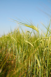 Similar image 1389648