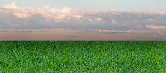 Similar image 1389731