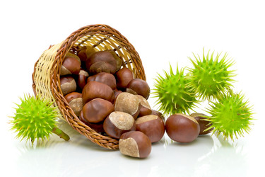 Similar image 1389809