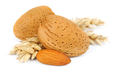 Similar image 1389816