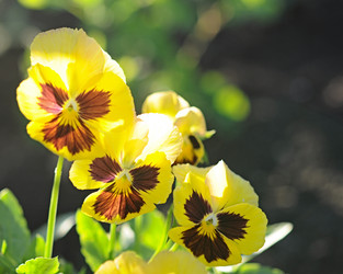 Similar image 1389861