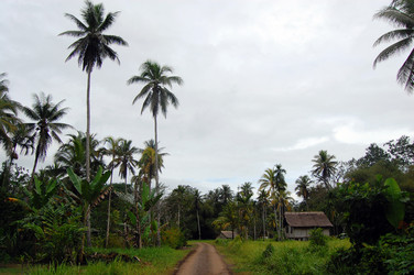 Similar image 1389891