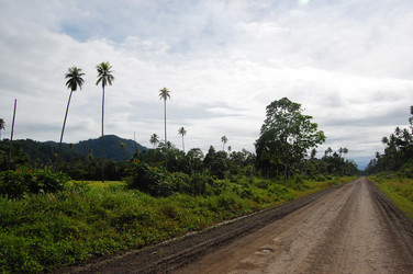 Similar image 1389897