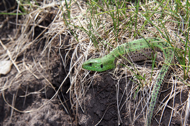 Similar image 1389902