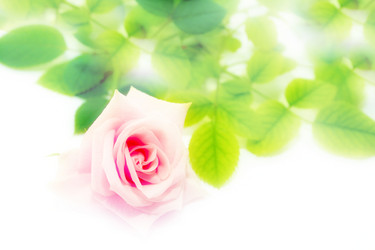 Similar image 1389927