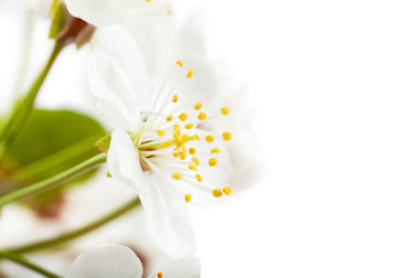 Similar image 1389951