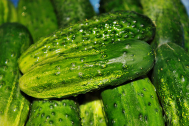 Similar image 1389988