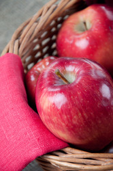 Similar image 1390033