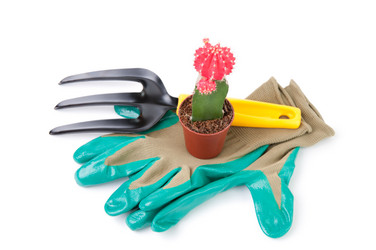 Similar image 1390036