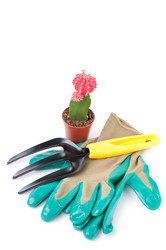 Similar image 1390050