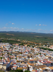 Similar image 1390265