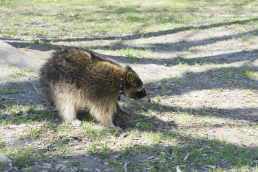 Similar image 1390269