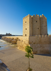 Similar image 1390293