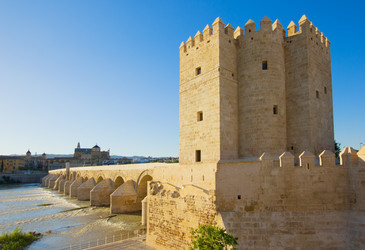 Similar image 1390294