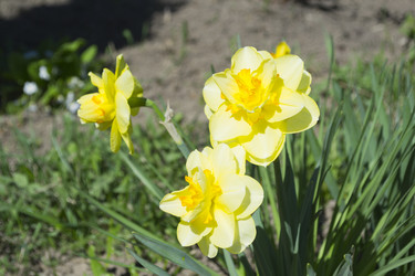 Similar image 1390312