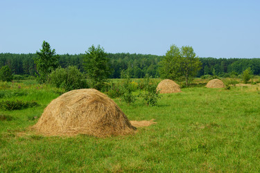 Similar image 1390313