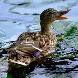 Similar image 1390314