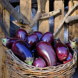 Similar image 1390315