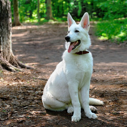 Similar image 1390504