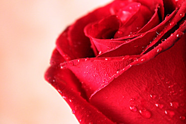 Similar image 1390505