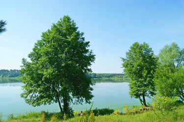 Similar image 1390529