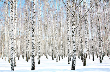 Similar image 1390544