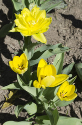 Similar image 1390555