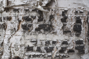 Similar image 1390577