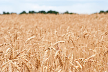 Similar image 1390672