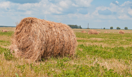 Similar image 1390674