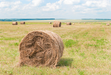 Similar image 1390676