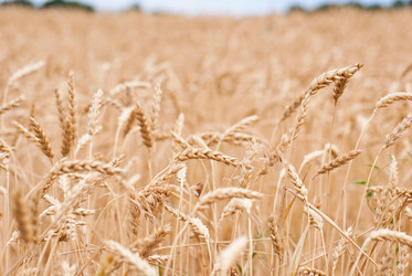 Similar image 1390680