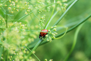 Similar image 1390681