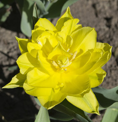 Similar image 1390693