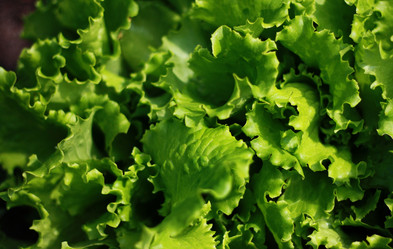 Similar image 1390731