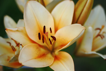 Similar image 1390746