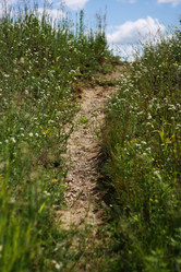 Similar image 1390747