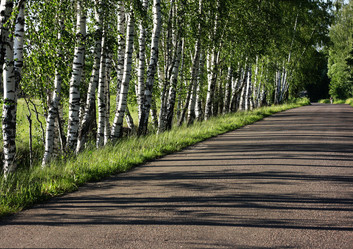 Similar image 1390748