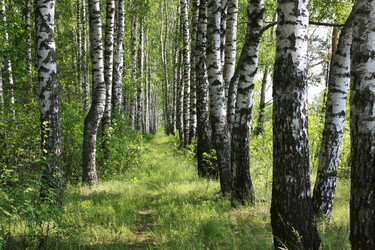 Similar image 1390749