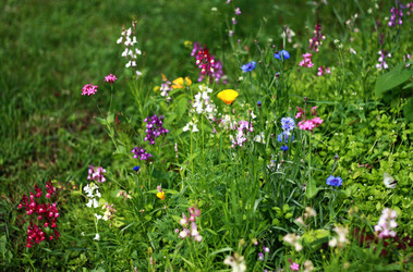 Similar image 1390753