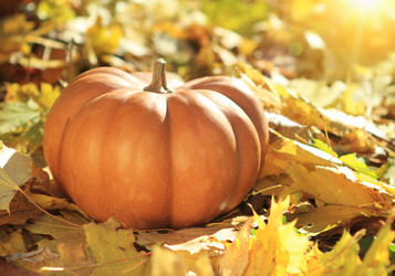 Similar image 1390921