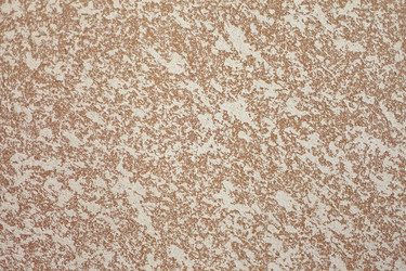 Similar image 1391024