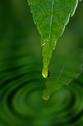 Similar image 1391169