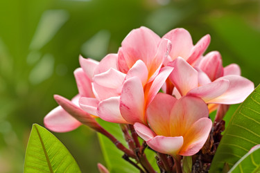 Similar image 1391176