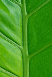 Similar image 1391180