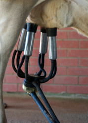 Similar image 1391185