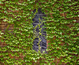 Similar image 1391195